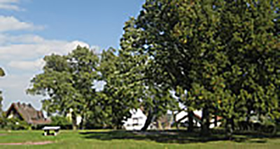 Baumkataster Schlossgarten